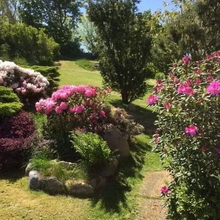 Bjergby Bed & Breakfast Acomodação com café da manhã Hjørring Exterior foto