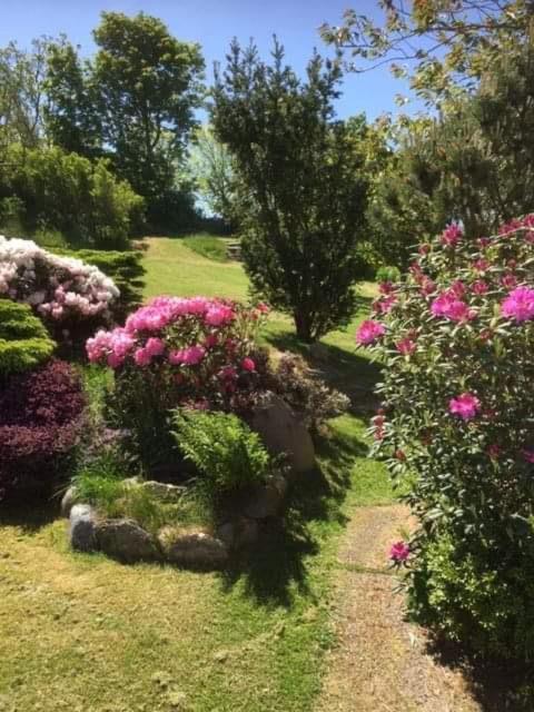 Bjergby Bed & Breakfast Acomodação com café da manhã Hjørring Exterior foto